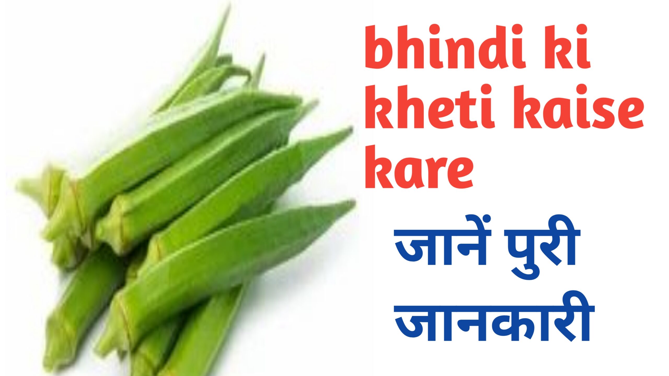 Bhindi ki kheti kaise kare