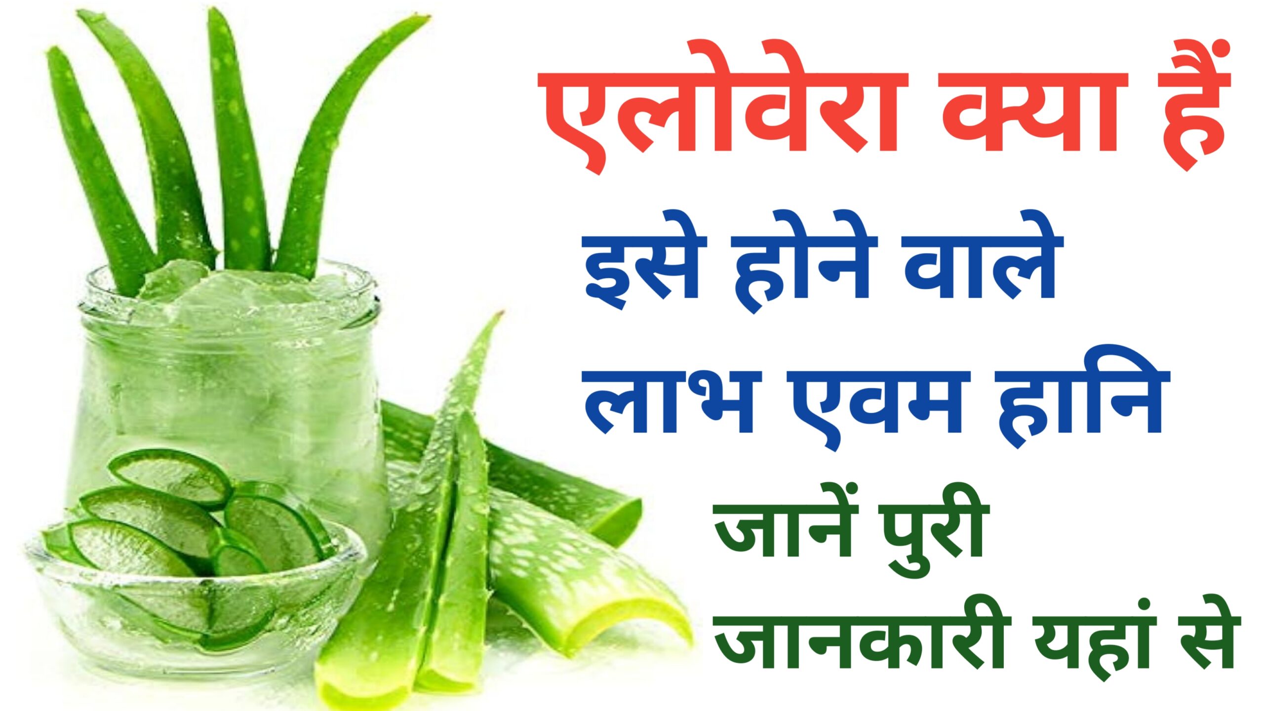 Aloe vera kya hai