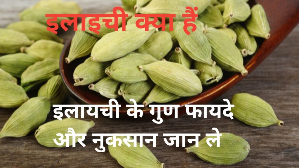 Elaechi se hone wala fayda kya hai