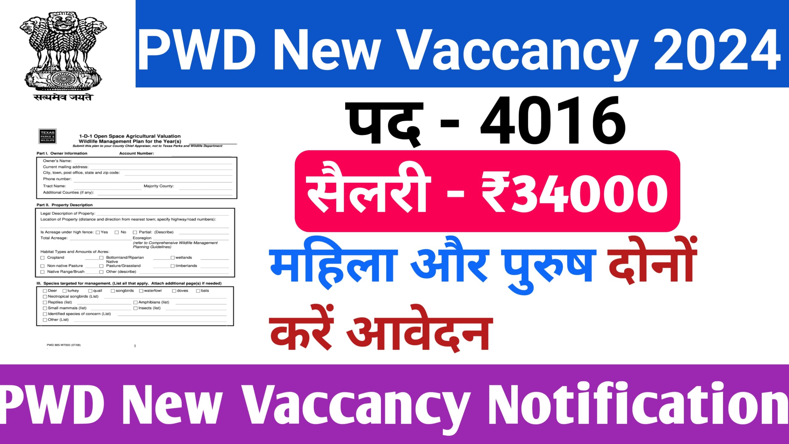 PWD New Vaccancy 2024