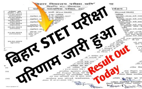 Bihar Stet Exam Result 2024